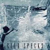 Cold Specks - I Predict A Graceful Explosion