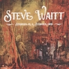 Steve Waitt - Stranger In A Stranger Land