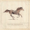 Turnpike Troubadours - A Long Way From The Heart