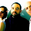 Ai Phoenix – Let me tell you ‚bout the birds and the bees