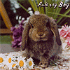 Ashtray Boy - There's Your Heart