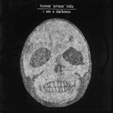 Bonnie Prince Billy – I See A Darkness