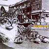 Billy Bragg – Mermaid Avenue Pt. II (Bragg & Wilco)