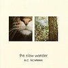 A.C. Newman – The Slow Wonder