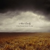 Adrian Crowley – I See Three Birds Flying