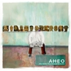 Afro-Haitian Experimental Orchestra - Afro-Haitian Experimental Orchestra