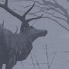 Agalloch - The Mantle