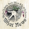 Alasdair Roberts / Amble Skuse / David McGuinness - What News