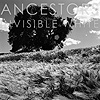 Ancestors – Invisible White