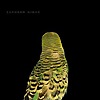 Andrew Bird – Armchair Apocrypha