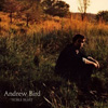 Andrew Bird – Noble Beast