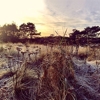 Ane Brun – Leave Me Breathless