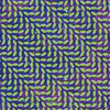 Animal Collective - Merriweather Post Pavilion