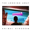 Animal Kingdom – The Looking Away
