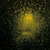 The Antlers – Burst Apart
