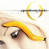A Perfect Circle – Thirteenth Step