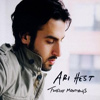 Ari Hest – Twelve Mondays