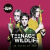 Ash – Teenage Wildlife – 25 Years Of Ash