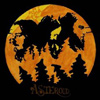Asteroid - II