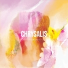 Avawaves – Chrysalis