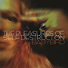 Babybird – The Pleasure Of Self Destruction