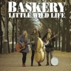 Baskery – Little Wild Life