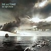 Bee And Flower – Last Sight Of Land