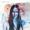 Big Fox – Now