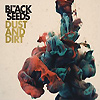 The Black Seeds – Dust And Dirt