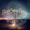 Black Stone Cherry – Family Tree