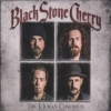 Black Stone Cherry - The Human Condition
