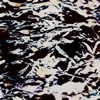 Bled White – Seven Broken Seals