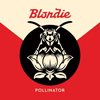Blondie – Pollinator