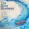The Blow Monkeys - The Wild River