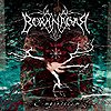Borknagar – Empiricism