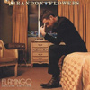 Brandon Flowers – Flamingo