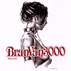 Bran Van 3000 - Discosis