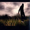 Brett Anderson – Wilderness