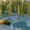 Bring Back The Buffalo – Bring Back The Buffalo