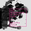 The Brotherhood Of Sonic Love - Satellite Heart