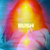 Bush – Black And White Rainbows