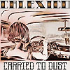 Calexico – Carried To Dust