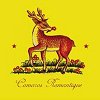 Camaros - Romantique