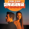 Cari Cari – Anaana