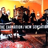 The Carnation – New Sensation