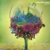 Carousel Kings – Charm City