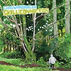 Chad VanGaalen - Skelliconnection