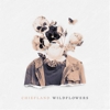 Chiefland – Wildflowers