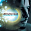 Chris Cornell – Euphoria Mourning