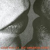 Chris Whitley – Soft Dangerous Shores
